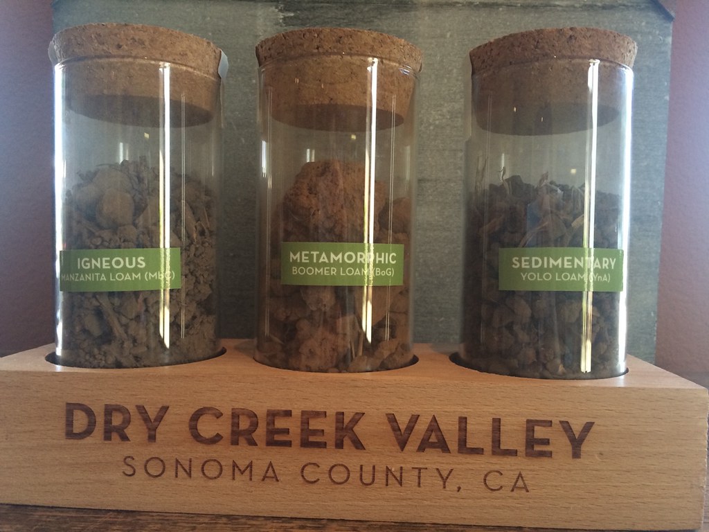 Wilson Winery, Dry Creek Valley, CA 4
