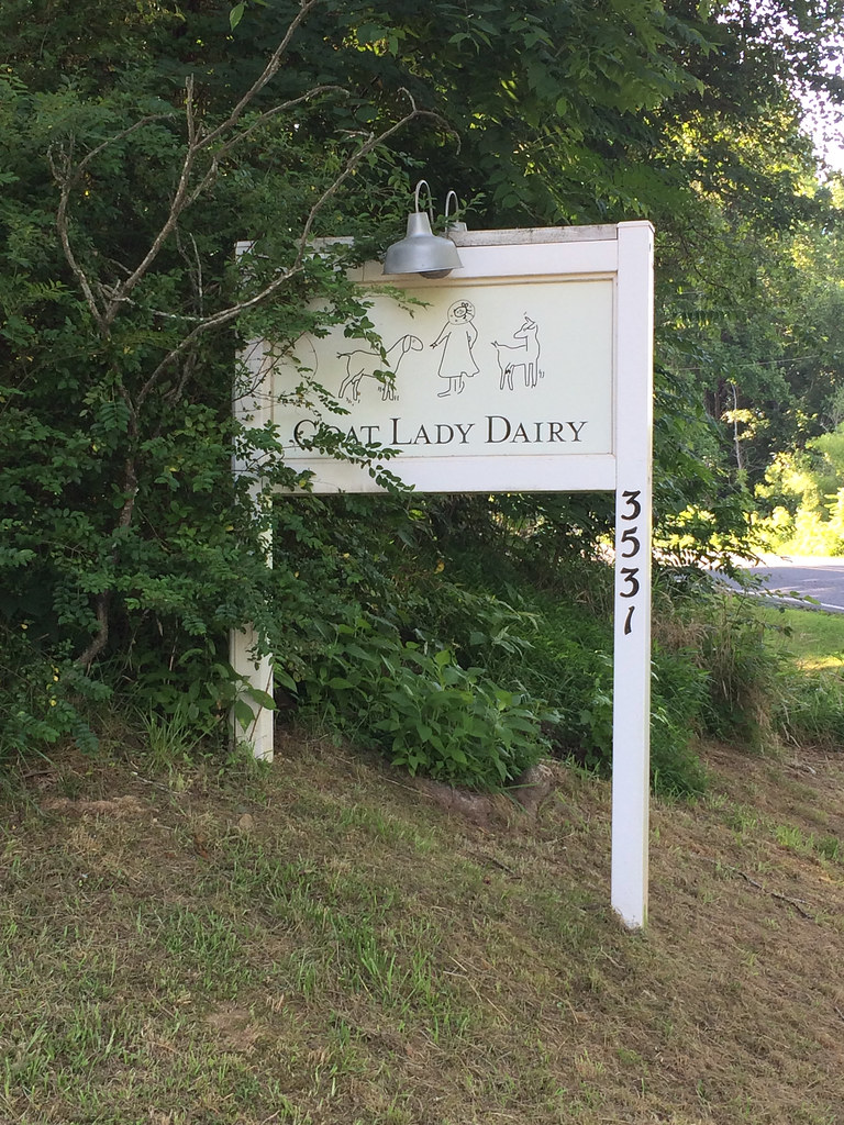 Goat Lady Dairy 1