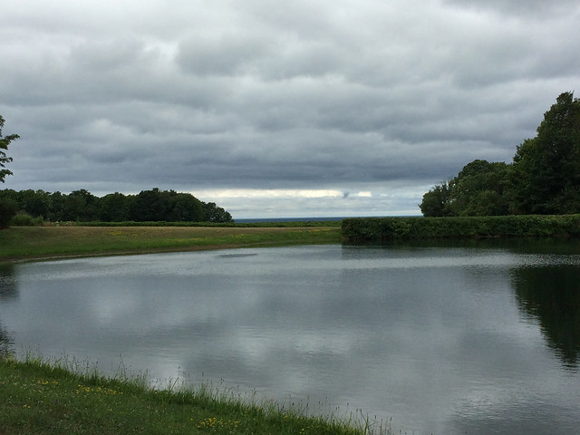 Johnson Estate Retention Pond