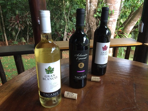 Tacama Wine Tasting lineup, Gran Blanco, Selección Especial, Gran Tinto