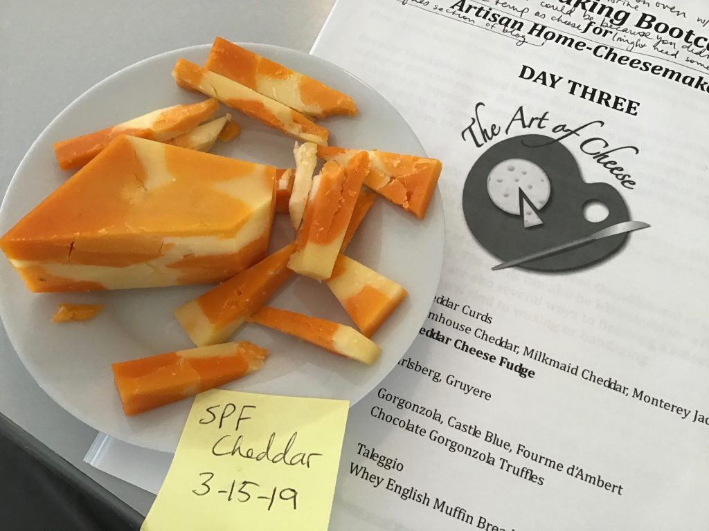 Cheddaring at The Art of Cheese, Longmont, CO