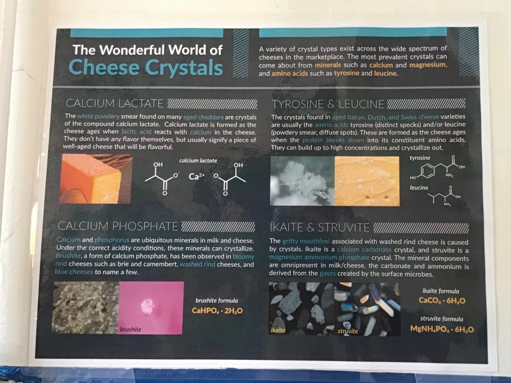 Hooray for cheese infographics! Learning all about cheese crystals.