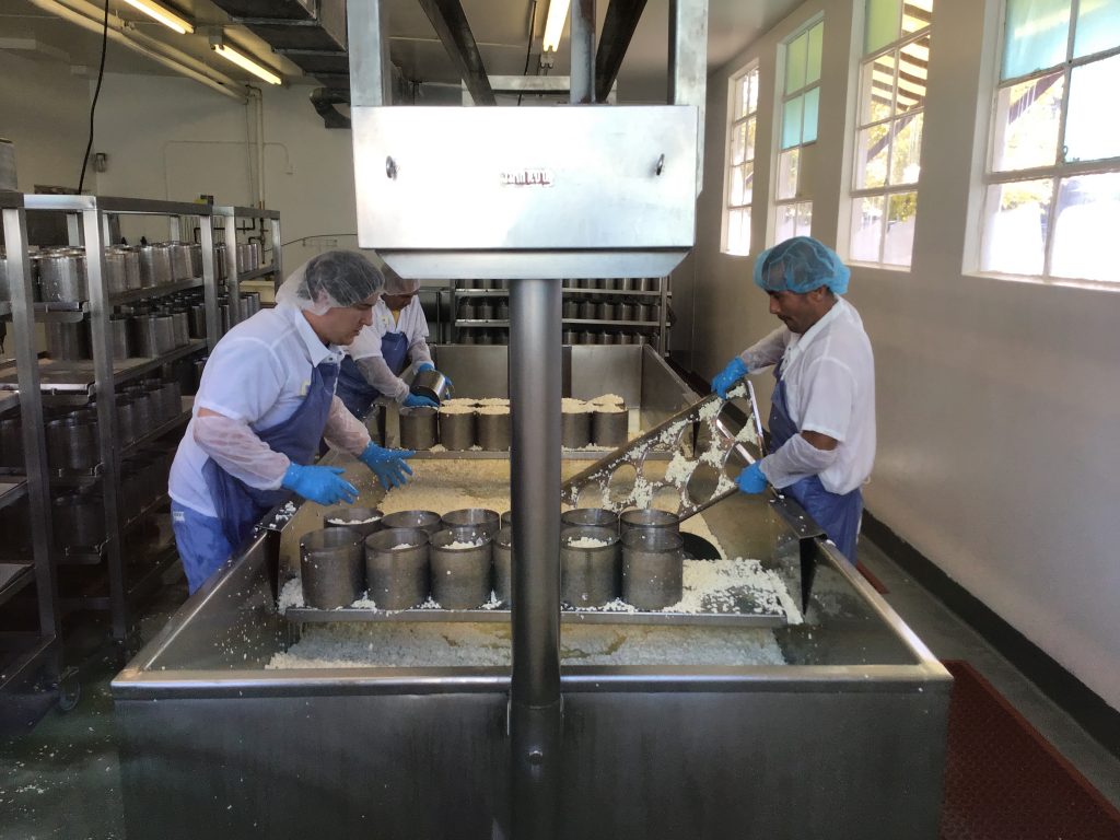 The blue cheese making process at Rogue Creamery, Central Point, OR