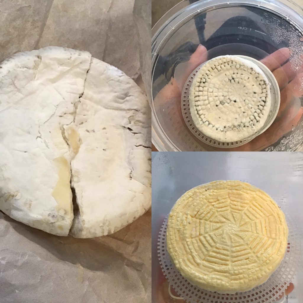 camembert wheels going through the aging process