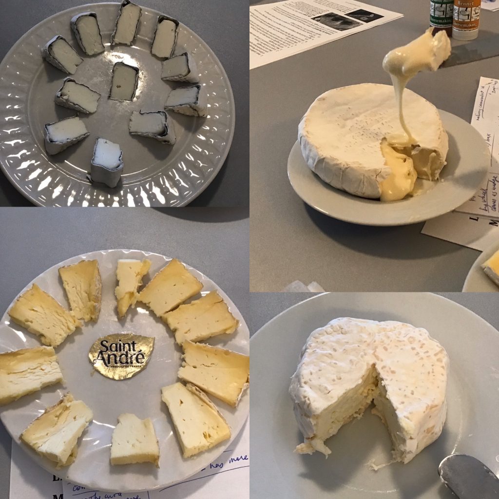 examples of bloomy rind cheeses during cheese tasting