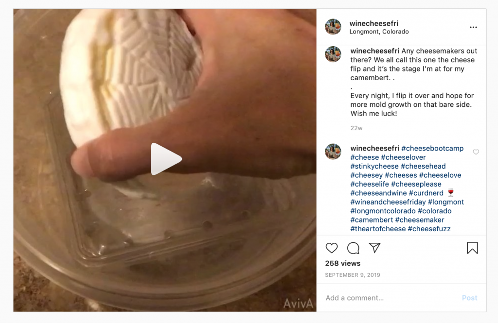 video of the cheese flip