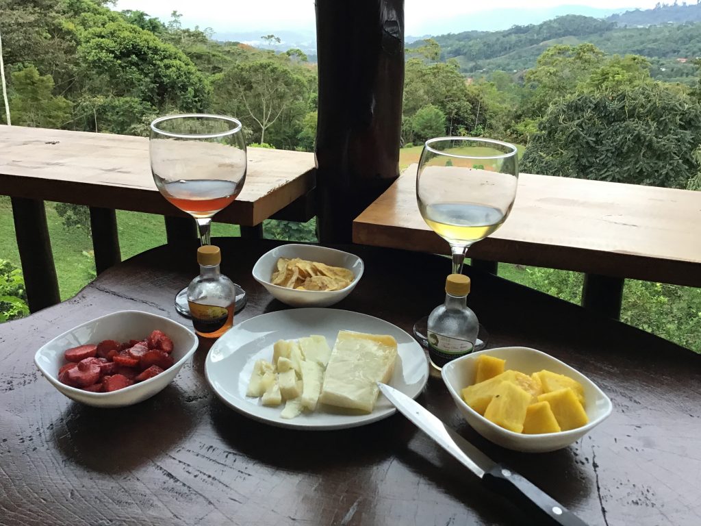 Fruit Wines and Manchego Cheese, Made and Enjoyed in Costa Rica