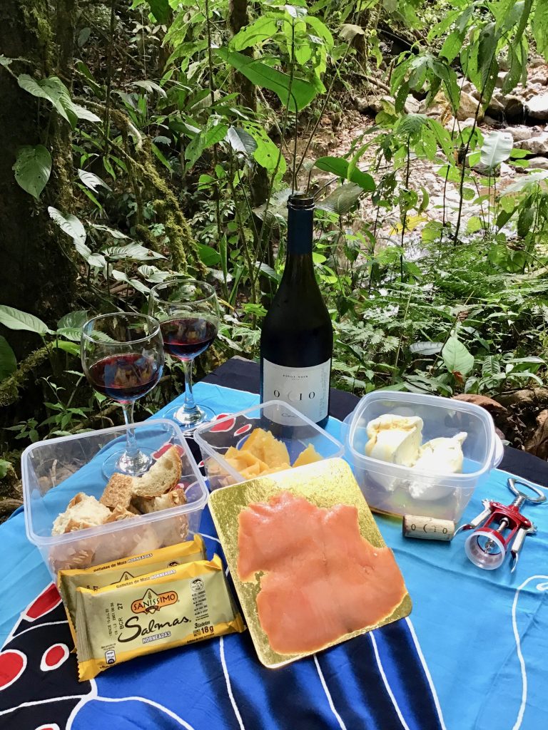 Our wine picnic at Fudebiol, Centro Biologico Las Quebradas, Costa Rica