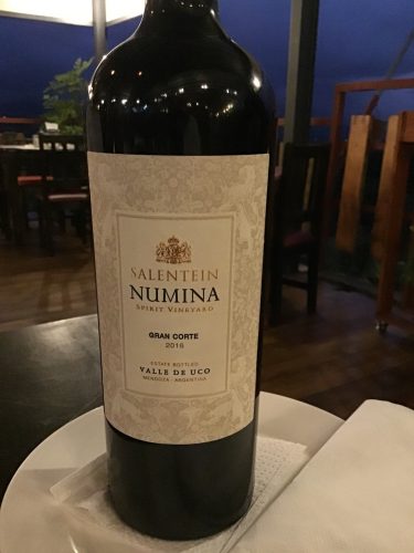 our wine- Salentein Numina, Mendoza Argentina, 2016