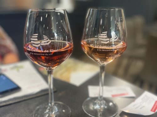 comparing the two rosés back in the tasting room