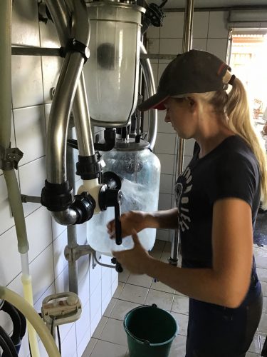 Lynn cleaning up in the milking room