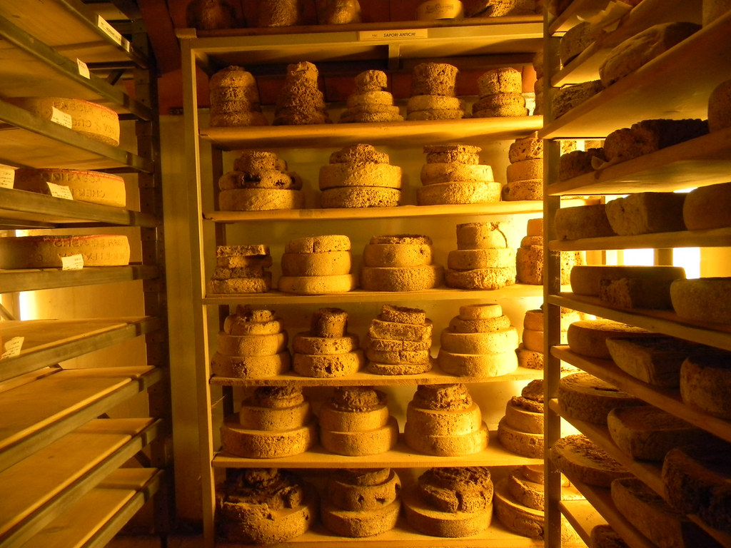 A Trip to a Cheese Cave, Arona, Piedmont, Italy 5