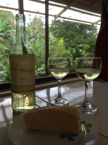 Viña Maipo Sauvignon Blanc and Quesos del Cerro 1