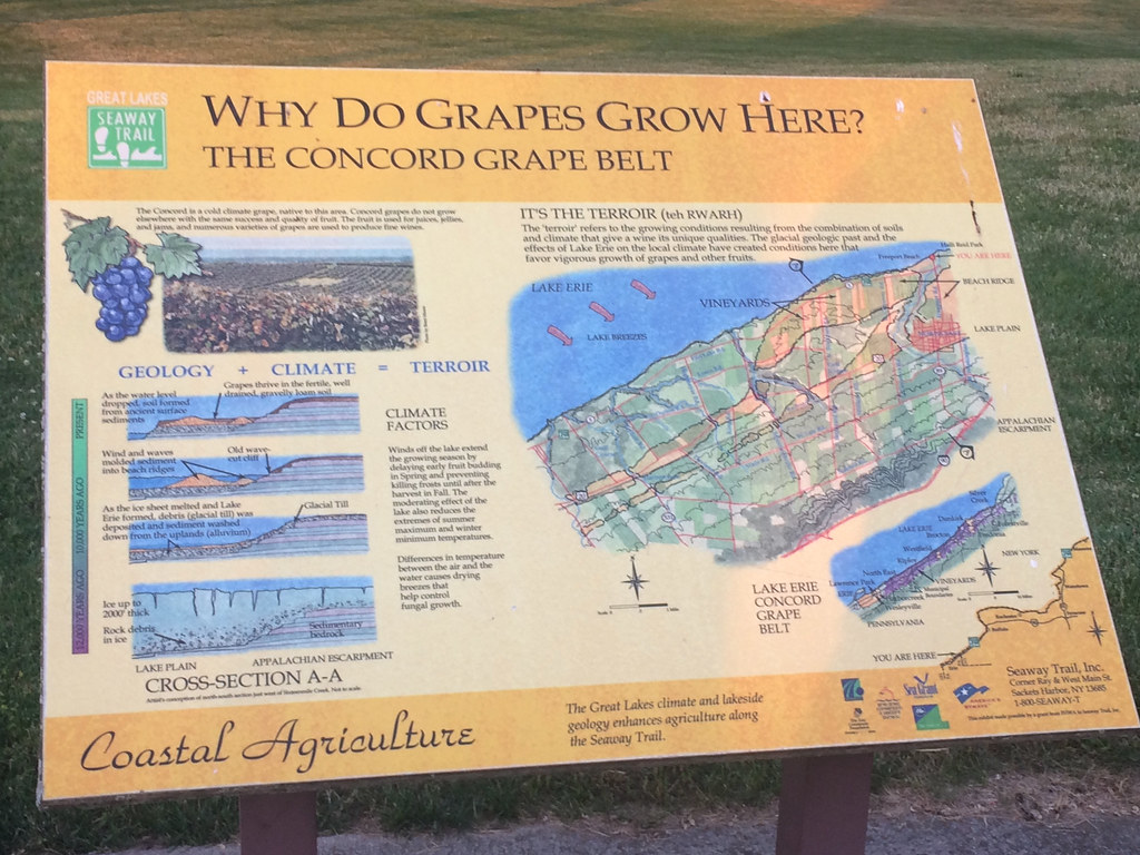 The Concord Grape Belt, Lake Erie Wine Country 1