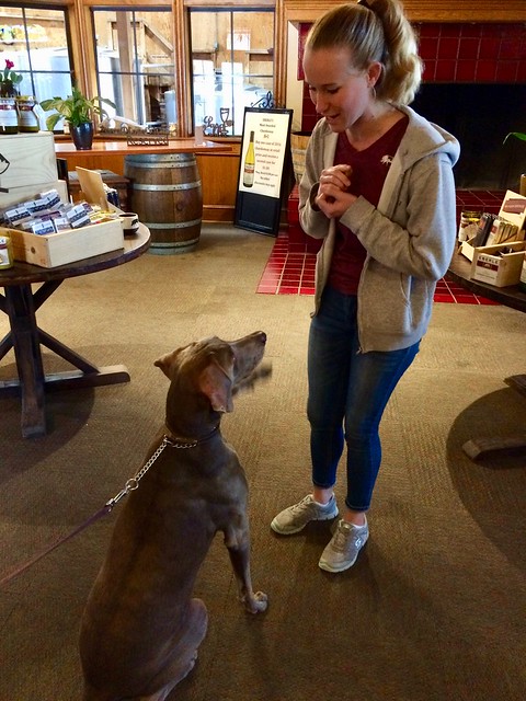 Vegas and Kaelin at Eberle Winery