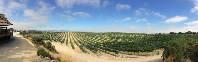 Eberle Vineyard, Paso Robles, CA