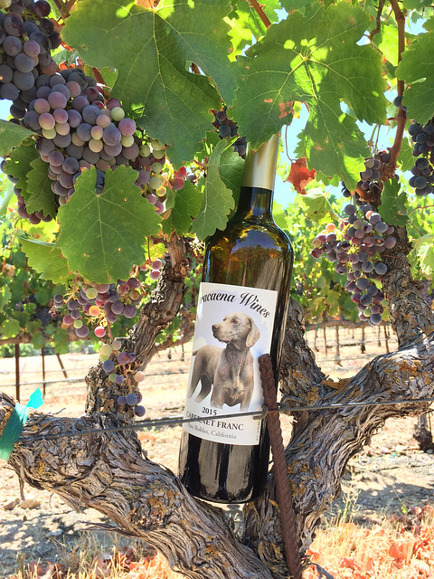 Dracaena Wines Cabernet Franc, Paso Robles, CA