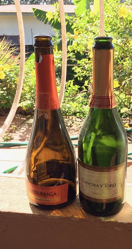 Undurraga Demi Sec and Concha y Toro Brut