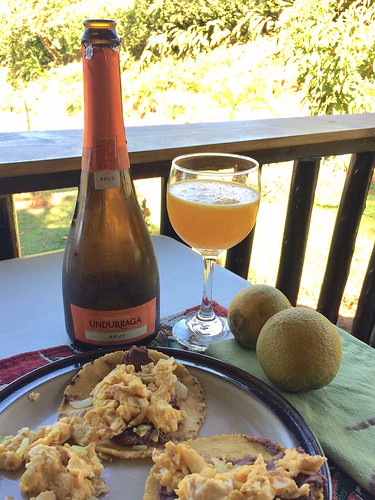 Undurraga Brut Mimosa