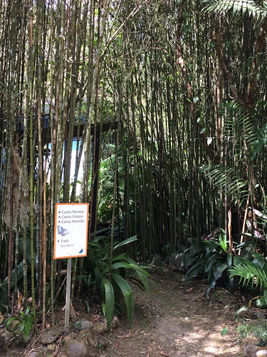 Walking around the property at Quesos Monte Azul, Chimirol de Rivas, Costa Rica