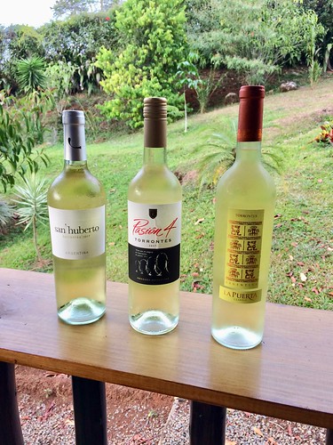 Torrontes Tasting Flight, Quebradas, Costa Rica