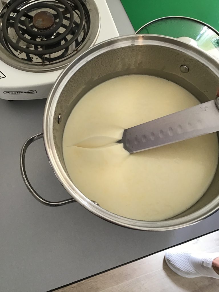 Checking to see if the milk is ready to cut into curds