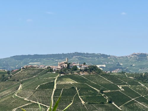 the beautiful barolo region