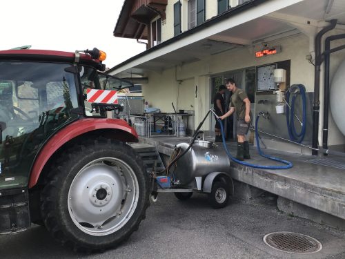 Transferring the milk from the tanker at the coop