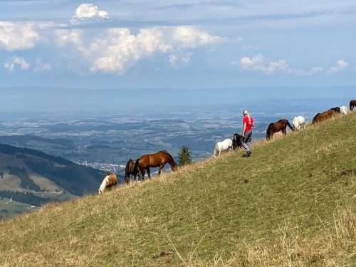 Lynn going over to see the pack of horses